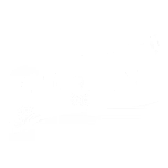nicolini